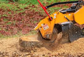 Best Lawn Watering Services  in Vienna, VA